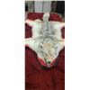 Image 3 : COYOTE HIDE/RUH