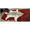 Image 7 : COYOTE HIDE/RUH