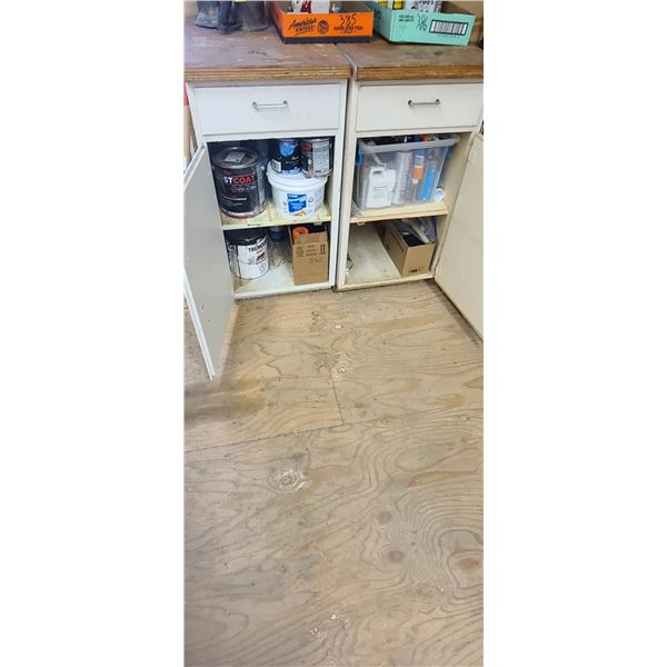 CONTENT OF TWO CABINETS: PAINTS. PLEASE SEE IMAGES