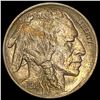 1916 Buffalo Nickel GEM BU