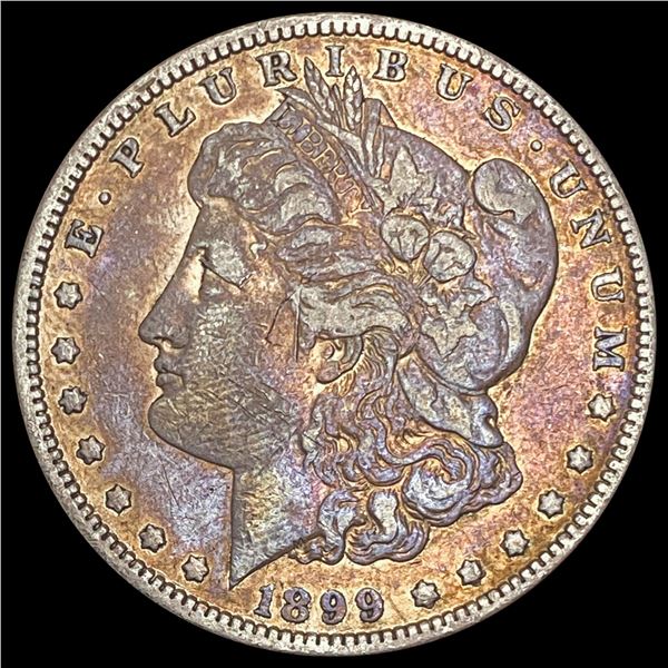 1899 Morgan Silver Dollar LIGHTLY CIRCULATED