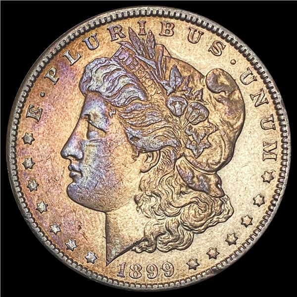 1899 Morgan Silver Dollar LIGHTLY CIRCULATED