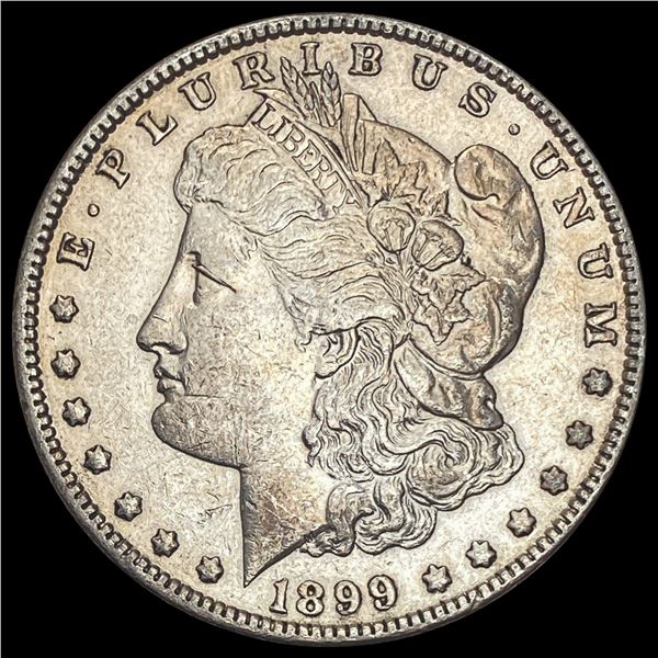 1899 Morgan Silver Dollar LIGHTLY CIRCULATED