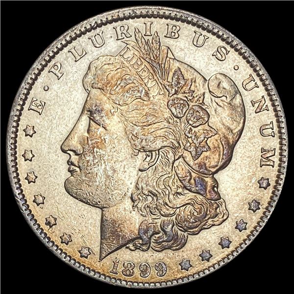 1899 Morgan Silver Dollar LIGHTLY CIRCULATED