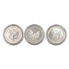 Image 2 : 2006 [3] Silver Eagles coin set w/ box