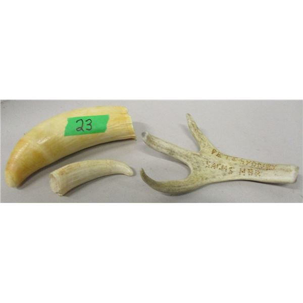 SEIZURE:  3 PIECES BONE