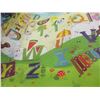 Image 2 : ESTATE:  APPROX. 6' X 8' PLAY MAT