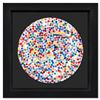 The Currency by Hirst Damien