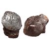 Image 1 : MEXICO, Mexico City, cob 4 reales, Philip II, assayer not visible, on piece of encrustation as found