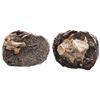 Image 1 : SPANISH COLONIAL, Mexico City and Potosí, clump of one cob 8 reales and three cob 4 reales with whit