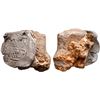 Image 1 : MEXICO, Mexico City, clump of one cob 8 reales and earthenware shard in chunk of coral, assayer not 
