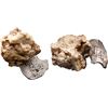 Image 1 : MEXICO, Mexico City, clump of one cob 4 reales in chunk of coral, assayer not visible.