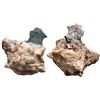 Image 1 : MEXICO, Mexico City, clump of one cob 4 reales fragment in chunk of coral, assayer not visible.