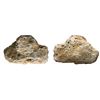Image 1 : SPANISH COLONIAL, mint uncertain, clump of one cob 4 reales cocooned in white coral, assayer not vis