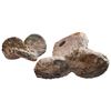 Image 1 : NETHERLANDS, mints uncertain, clump of three ducatoon "biscuits" (encrusted as found).