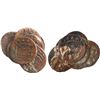 Image 1 : NETHERLANDS (United), Zeeland, small clump of nine copper duits, 1752.