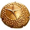 Image 1 : INDIA (British), Madras Presidency, gold "star" pagoda, no date (1740-1807).