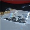 Image 3 : Swarovski Crystal SCS Dragon Figurine with Plaque and Base