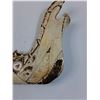 Image 3 : Carved Jawbone Art - 11" x 9"