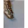 Image 5 : Carved Jawbone Art - 11" x 9"