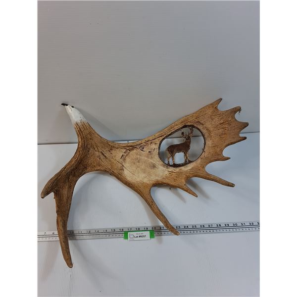 # Carved Art Moose Antler - 27" x 21" x 8"