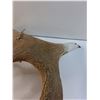 Image 5 : # Carved Art Moose Antler - 27" x 21" x 8"