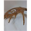 Image 6 : # Carved Art Moose Antler - 27" x 21" x 8"