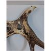 Image 3 : # Carved Art Moose Antler - 27" x 10" x 17"