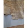 Image 2 : Sheepskin Rug - 39" x 48"