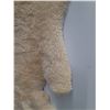 Image 3 : Sheepskin Rug - 39" x 48"