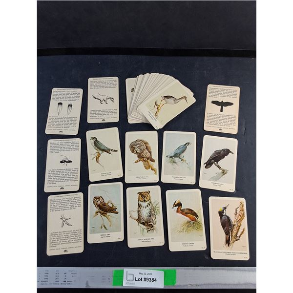 Vintage Bird Identification Cards