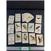 Image 1 : Vintage Bird Identification Cards