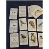 Image 2 : Vintage Bird Identification Cards