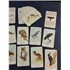 Image 3 : Vintage Bird Identification Cards