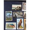 Image 2 : Vintage City and Birds Cards