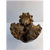 Image 2 : Tri Cone Drill Bit - CANNOT SHIP