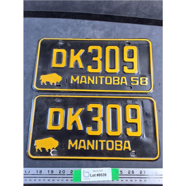 (2) Manitoba License Plates