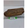 Image 1 : Petrified Wood - Consigner States 50-500 Million Years Old - 11" x 5" x 2.5"