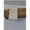 Image 4 : Petrified Wood - Consigner States 50-500 Million Years Old - 11" x 5" x 2.5"