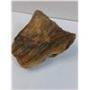 Image 4 : Petrified Wood - Consigner States 50-500 Million Years Old - 8" x 7" x 4"