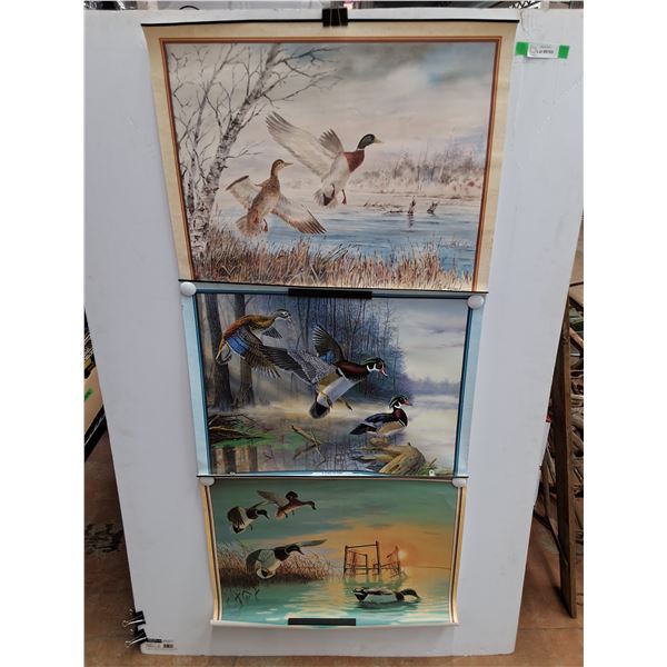 (3)  Duck Art Prints 30 x 23"