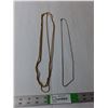 Image 1 : (2) Silver/Gold Colored Necklaces