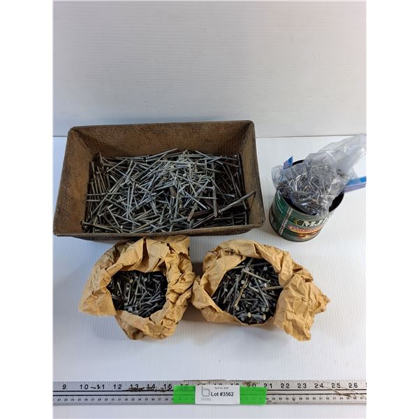 Metal Tray and Various Nails