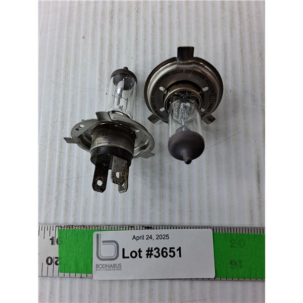 (2) Headlight Bulbs