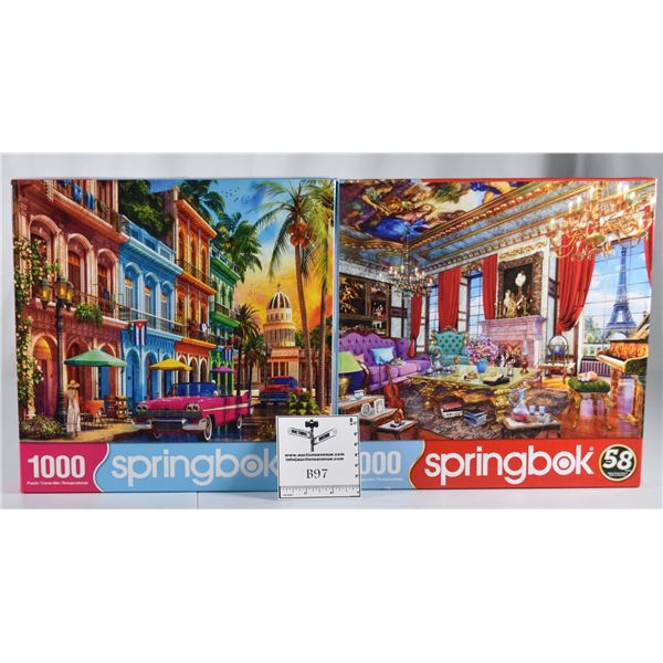 Lot of 2 Springbok Puzzles