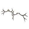 Image 2 : 2 Mule Deer Skull Racks- 24"- 22.5"