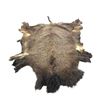 Image 1 : Tanned Buffalo Hide- 69" X 75"- Good Hair