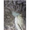 Image 2 : Tanned Buffalo Hide- 69" X 75"- Good Hair