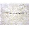 Image 4 : Tanned Buffalo Hide- 69" X 75"- Good Hair