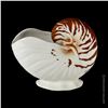 Image 2 : TRADER VIC'S NAUTILUS SHELL TIKI BOWL.
